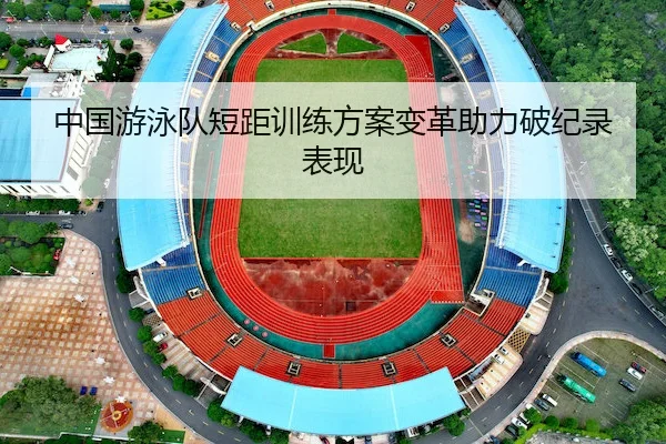 中国游泳队短距训练方案变革助力破纪录表现